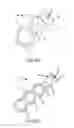 Fig. 06 - Reliably retained shape memory ophthalmological implants
