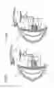 Fig. 07 - Breast implant system
