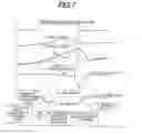 Fig. 08 - CVT control apparatus