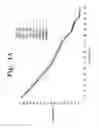 Fig. 08 - Melting curve analysis with exponential background subtraction