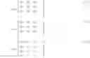 Fig. 04 - Multidimensional relaxometry methods for consumer goods