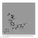 Fig. 06 - METHOD AND APPARATUS FOR ANALYSIS OF MOLECULAR CONFIGURATIONS AND COMBINATIONS