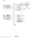 Fig. 05 - Method for tone/intonation recognition using auditory attention cues