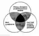 Fig. 01 - SYSTEM FOR ASSESSING RISK FOR PROGRESSION OR DEVELOPMENT OF PERIODONTITIS FOR A PATENT