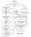 Fig. 19 - Internet-based proxy service to modify internet responses
