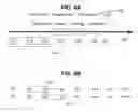 Fig. 04 - RELATIONSHIP ANALYSIS ENGINE