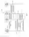 Fig. 07 - System for determining presence of and authorizing a quorum to transact business over a network
