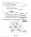 Fig. 04 - System and method employing an agile network protocol for secure communications using secure domain names