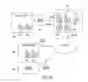 Fig. 33 - System and method employing an agile network protocol for secure communications using secure domain names