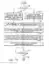 Fig. 09 - Invalidating a range of two or more translation table entries and instruction therefore