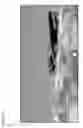 Fig. 06 - Adaptable videolens media engine