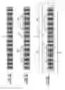 Fig. 02 - Multilayer securing structure and method thereof for the protection of cryptographic keys and code