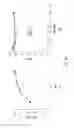 Fig. 49 - Imidazo[1,2-α]pyrazine derivatives