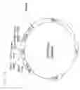 Fig. 22 - Humanized AXL antibodies