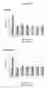 Fig. 32 - Humanized AXL antibodies