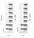 Fig. 76 - Humanized AXL antibodies