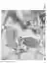 Fig. 02 - PLANT VIRUS