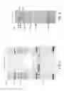 Fig. 04 - PLANT VIRUS