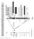 Fig. 08 - Soybean markers linked to SCN resistance