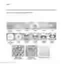 Fig. 04 - Expression cassettes for endosperm-specific expression in plants