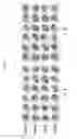 Fig. 07 - crystal polypeptides, polynucleotides, and compositions thereof