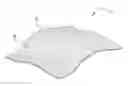 Fig. 01 - WIPES FOR CLEANING COFFEE CUPS