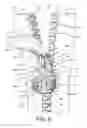 Fig. 07 - Zipper arrangement with funnel grip