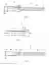 Fig. 02 - Blind rivet and fastening method thereof