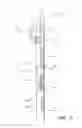 Fig. 11 - Assembly for delivering protective barriers onto stethoscope heads