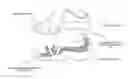 Fig. 01 - Shoes with Replaceable Cushions and Soles