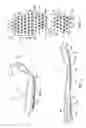 Fig. 03 - Sole for a golf shoe