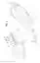 Fig. 03 - SKI BOOT ACCESSORY
