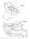 Fig. 06 - Sliding stock for firearm