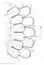 Fig. 07 - INTERLOCKING PLANTER AND PLANTER SYSTEM