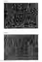 Fig. 04 - Method of forming silicate polishing pad