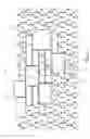 Fig. 14 - WALL PANEL COMPRISING RESILIENT MEMBERS FOR RETAINING MASONRY UNITS