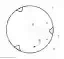 Fig. 01 - Driver for fastening to a sheet metal drum of a laundry machine
