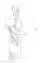 Fig. 07 - Chamois Wringer