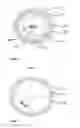 Fig. 06 - Parallel robot