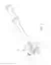 Fig. 02 - RATCHET WRENCH