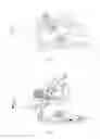 Fig. 02 - MITER SAW WITH WORKING LAMP