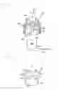 Fig. 02 - Igniter assembly