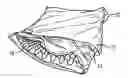 Fig. 01 - ODOR REDUCING PET BED
