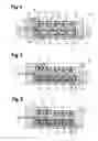 Fig. 03 - Switch of a gas valve unit