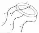 Fig. 01 - INSULATING AND HEATING SAFETY DEVICE APPLICABLE TO WATERPROOF CLOTHES AND WORK CLOTHES