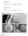 Fig. 03 - SELF-CLEANING COATING COMPOSITION