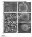 Fig. 06 - SELF-CLEANING COATING COMPOSITION