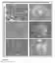 Fig. 08 - SELF-CLEANING COATING COMPOSITION
