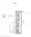 Fig. 02 - SEMICONDUCTOR ELECTRODE, SOLAR CELL IN WHICH SEMICONDUCTOR ELECTRODE IS USED AND SEMICONDUCTOR ELECTRODE MANUFACTURING METHOD