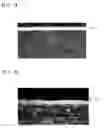 Fig. 02 - STEEL MEMBER HAVING NITROGEN COMPOUND LAYER AND PROCESS FOR PRODUCING SAME